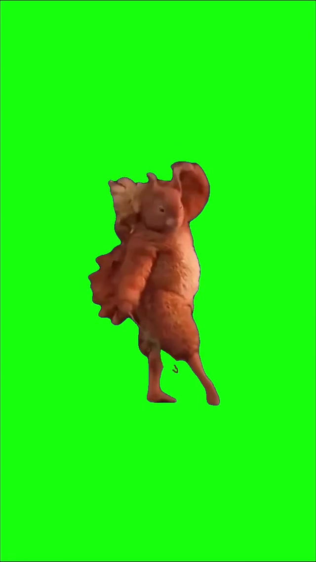 Squirrel Ballet Dancing meme template blank