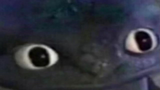 Staring Reaction Compilation meme template blank