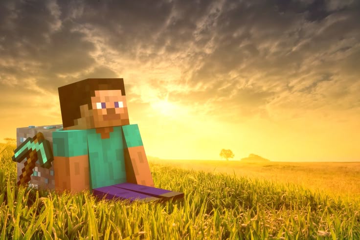 Steve Sunset Reflection meme template blank