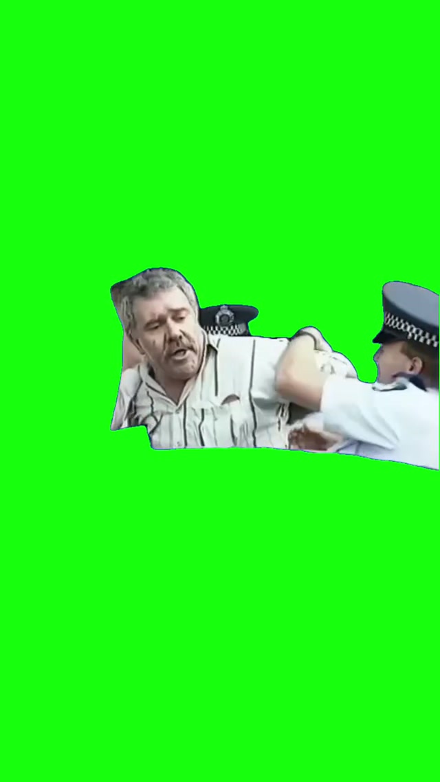 Succulent Chinese Meal meme template blank