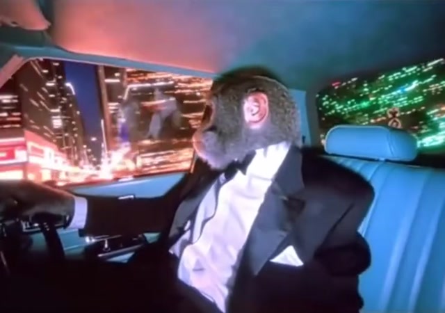 Suited Monkey meme template blank