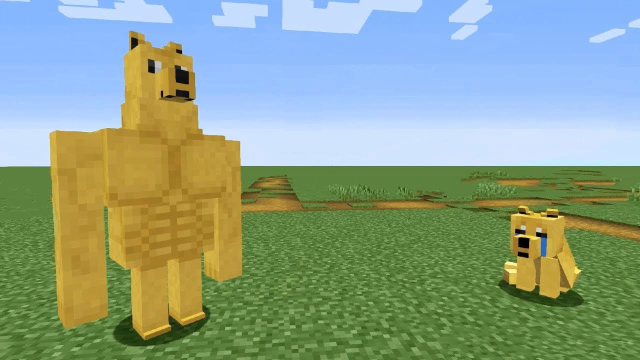 Swole Doge vs. Cheems blank meme template blank