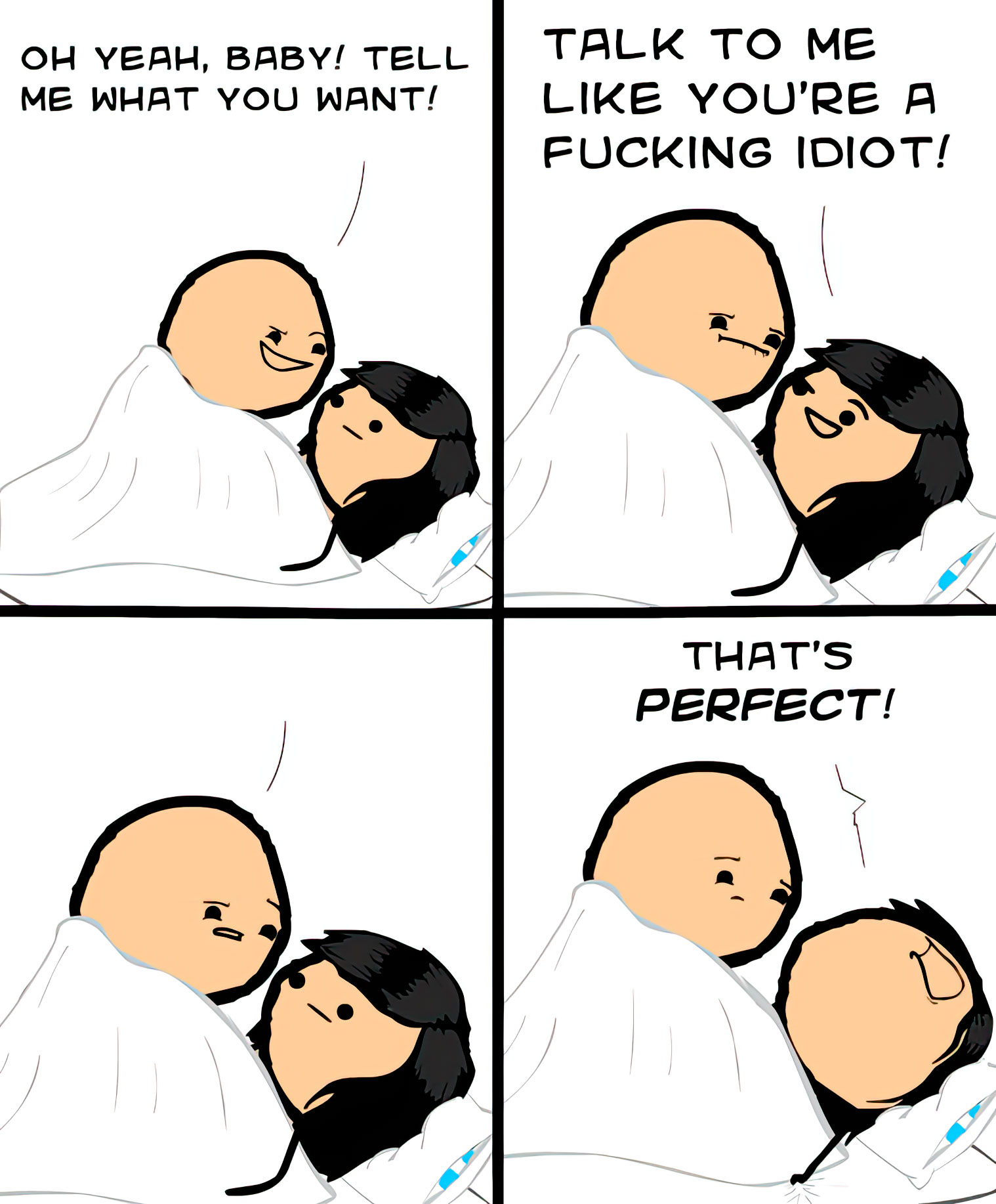 Talk To Me Like a Fucking Idiot meme template blank - image format