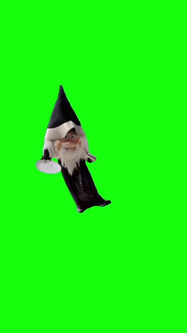 That One Guy’s FYP Wizard meme template blank