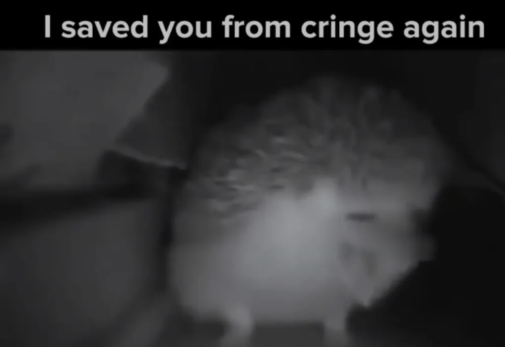 The Anti-Cringe Protector Hedgehog meme template blank