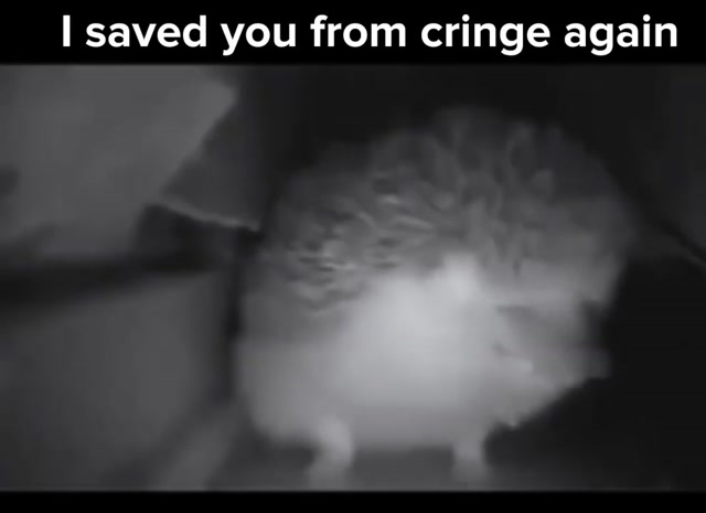 The Anti-Cringe Protector Hedgehog meme template variant 2