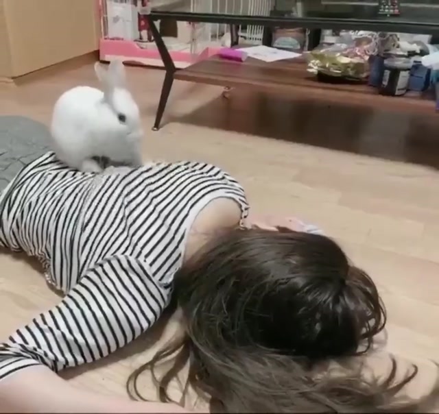 The Bunny Back Massage meme template blank