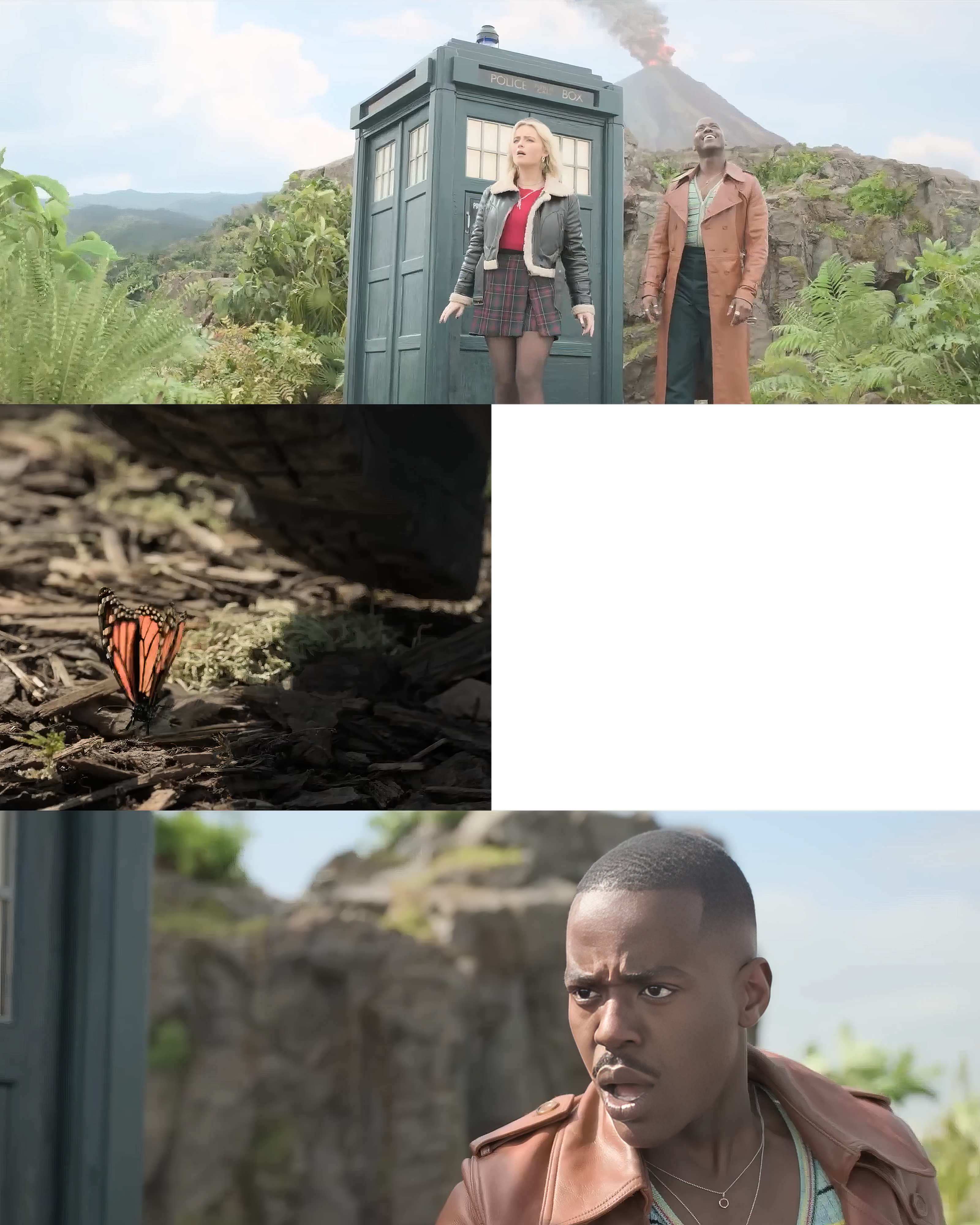 The Butterfly Effect meme template blank - image format