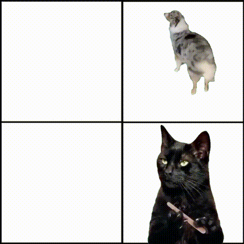 The Dog & Cat Decision meme template blank