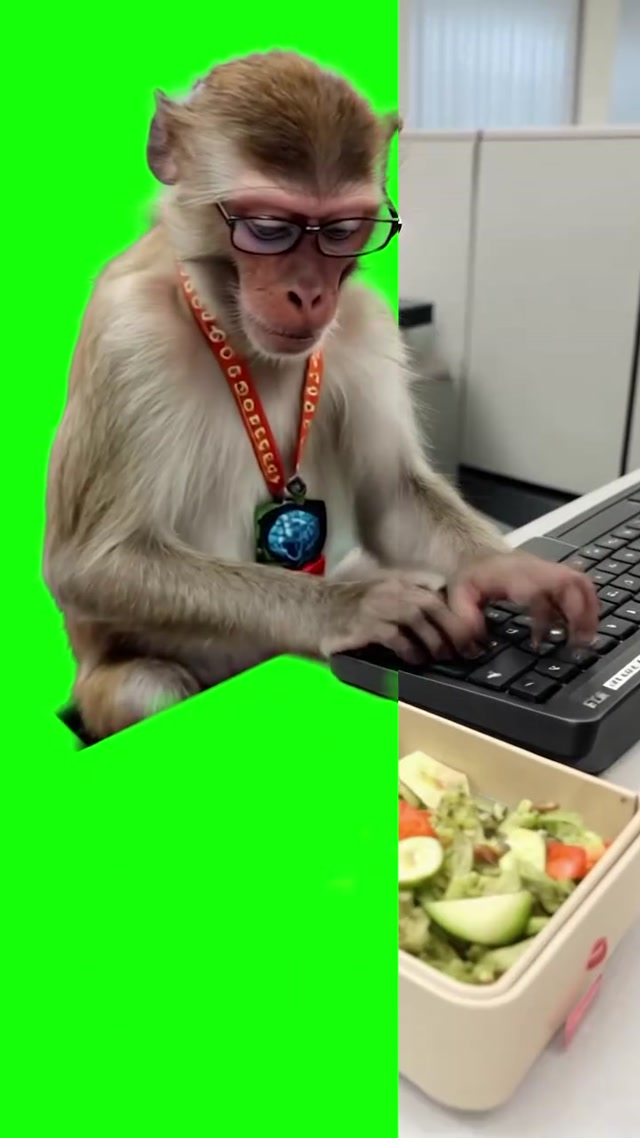 The Easiest Way To Create Green Screen Videos meme template blank