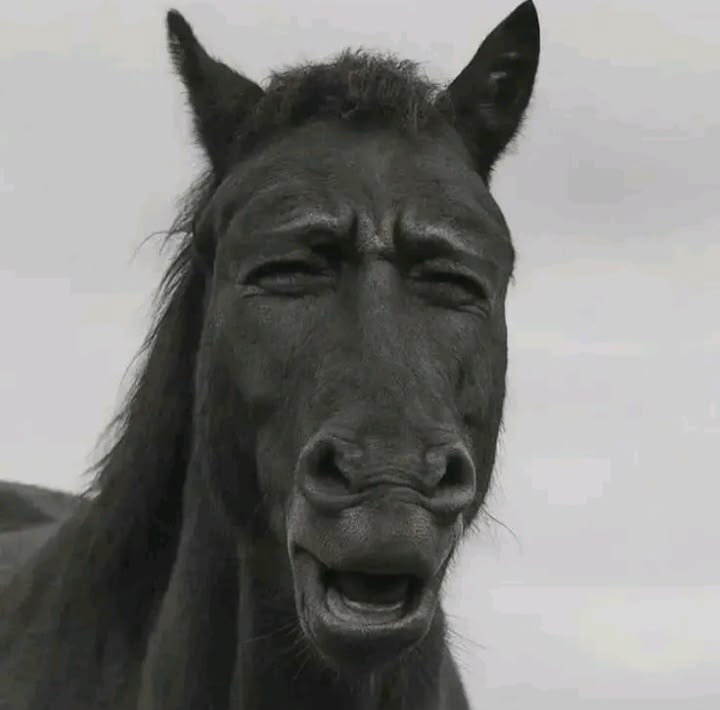 The Existential Horse meme template blank