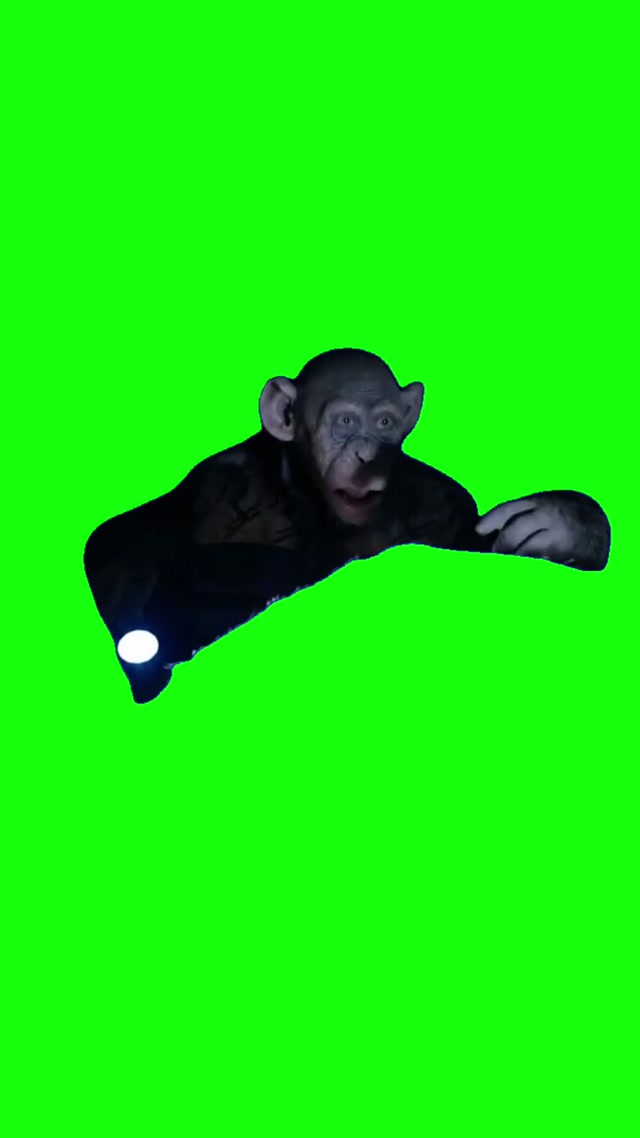The Planet of the Apes’ “Oh No!” Monkey Meme meme template blank