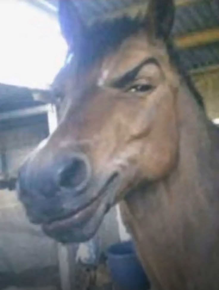 The Rizz Horse meme template blank