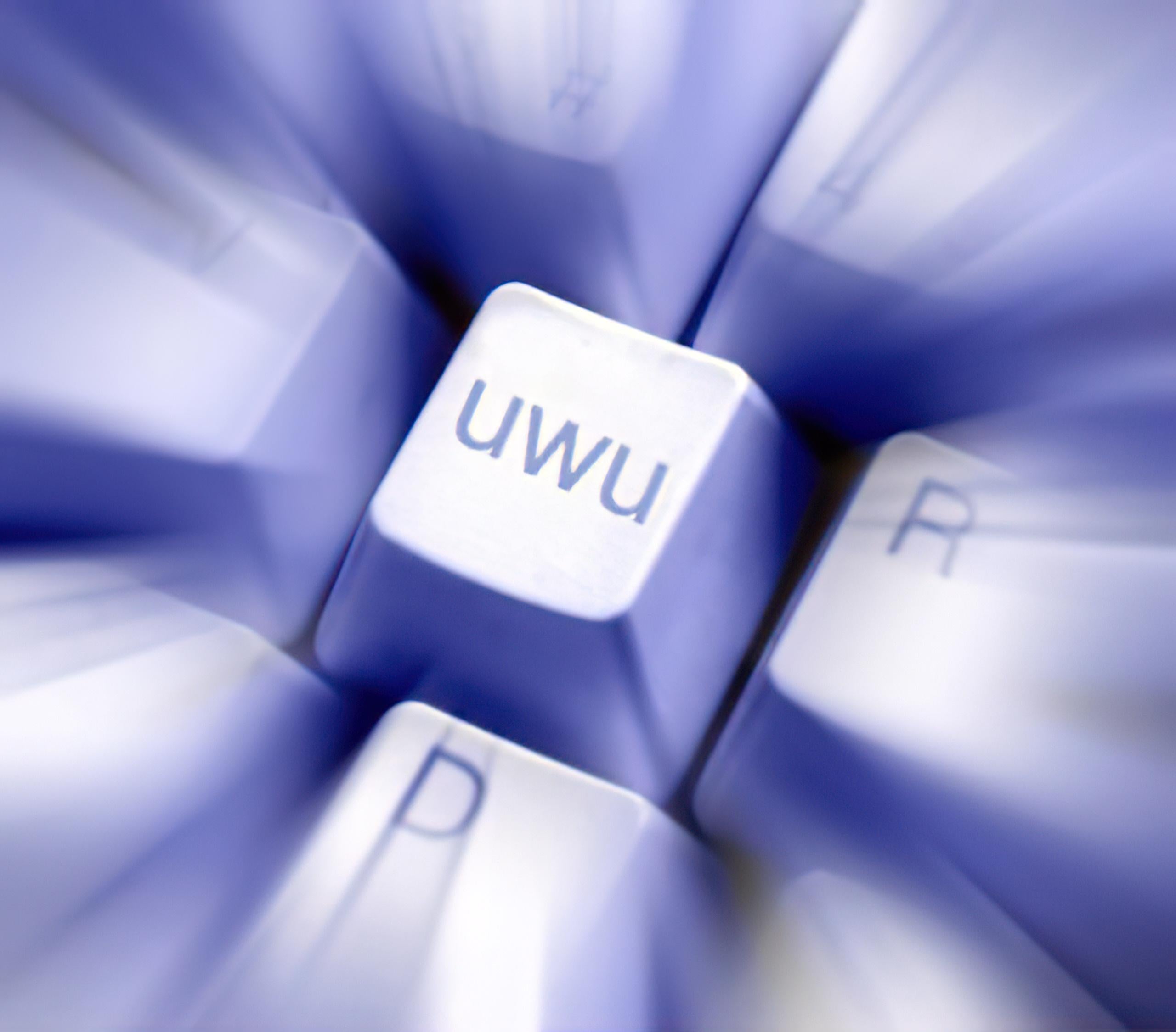 The UwU Key meme template blank - image format