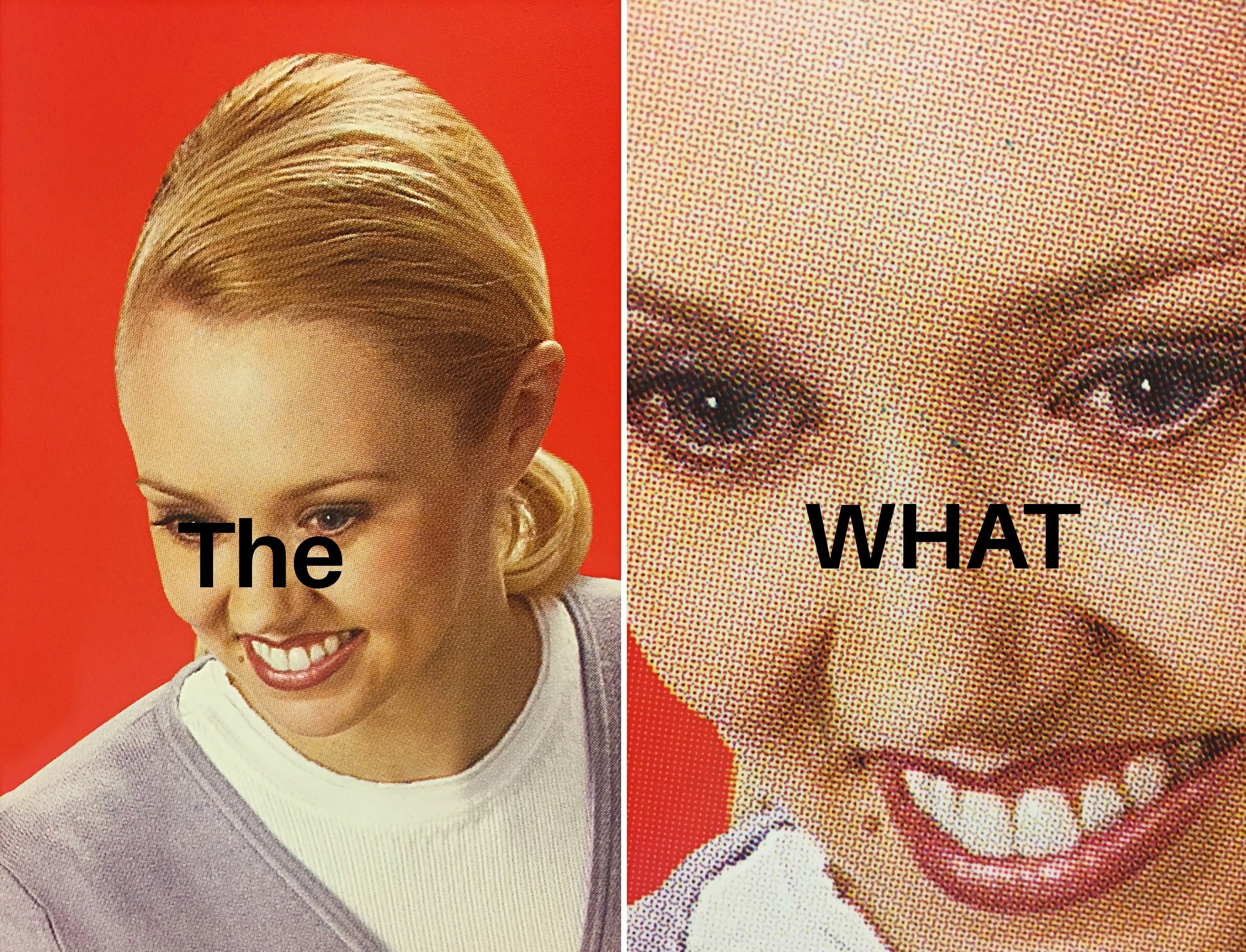 The WHAT meme template blank - image format