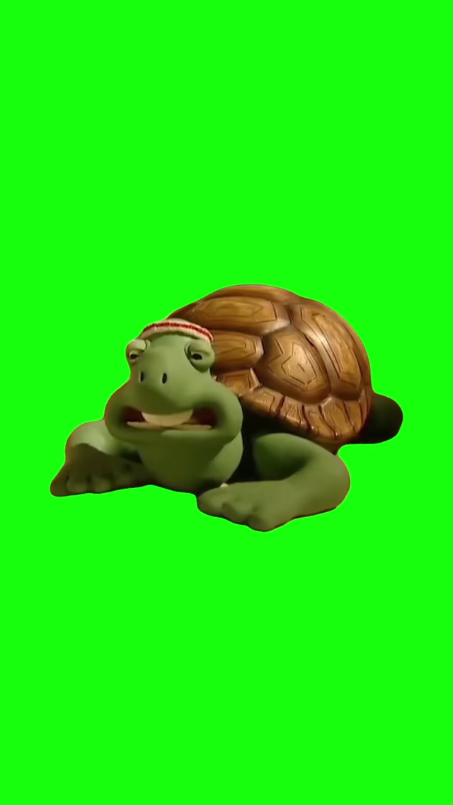 Thinking Turtle meme template blank