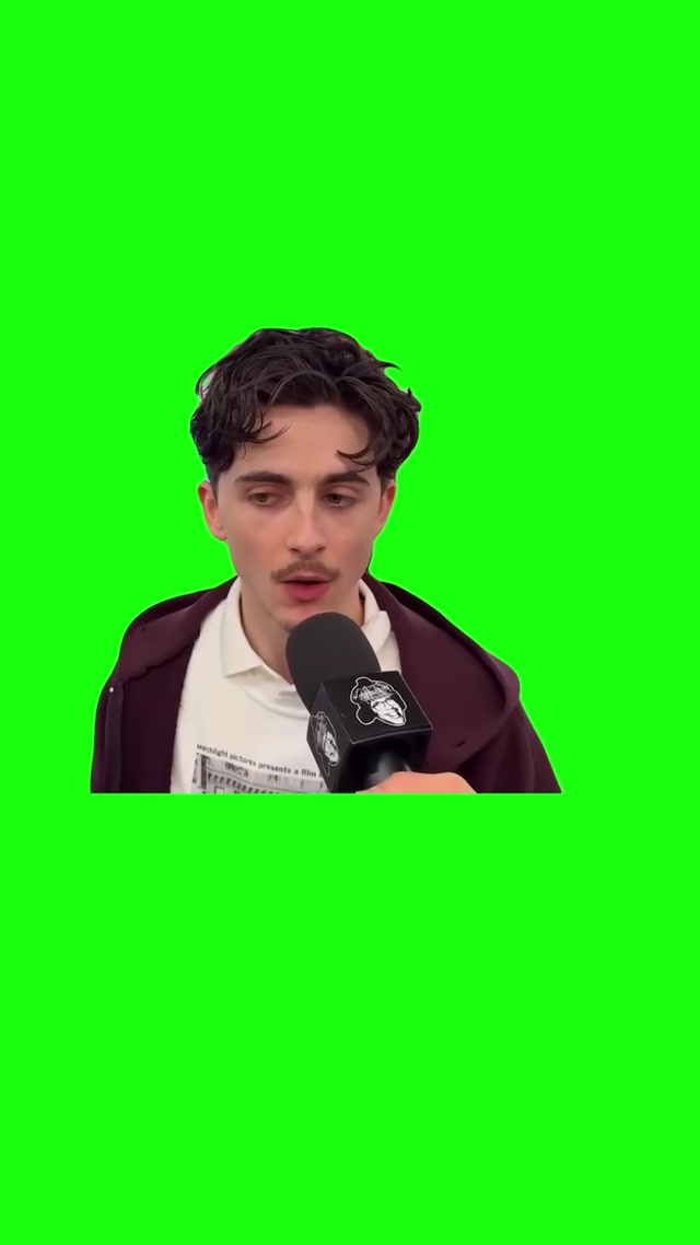 Timothée Chalamet Frown meme template blank