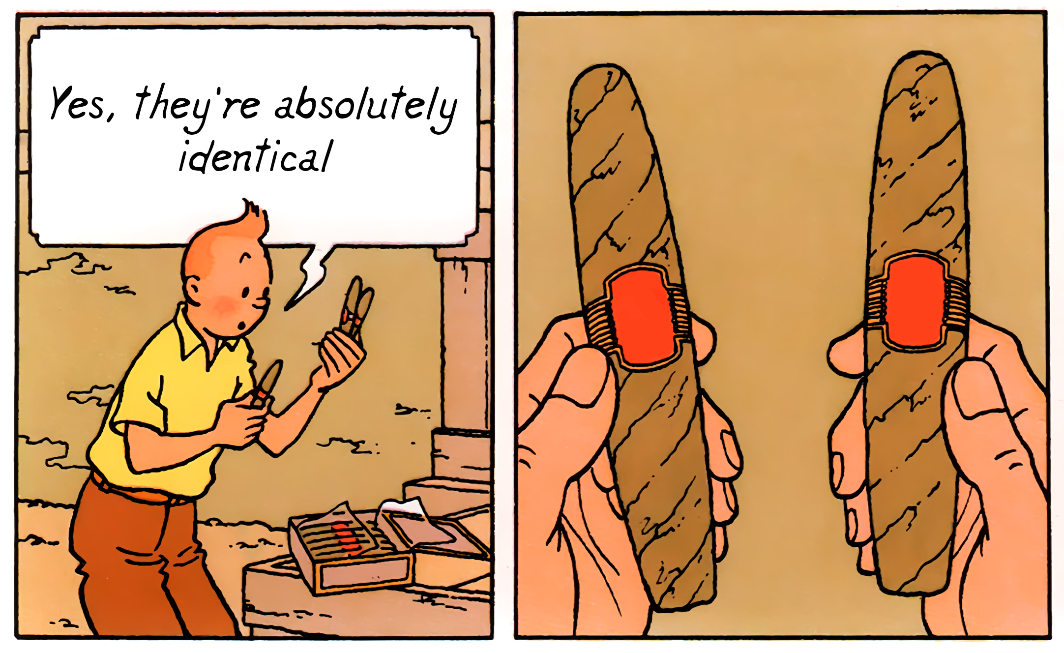 Tintin - Absolutely Identical meme template blank - image format