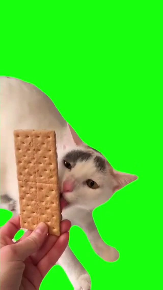 Today Is Monday, Which Means That Gandalf Gets To Lick a Graham Cracker meme template blank