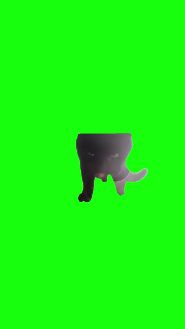 Tongue Out Cat meme template blank