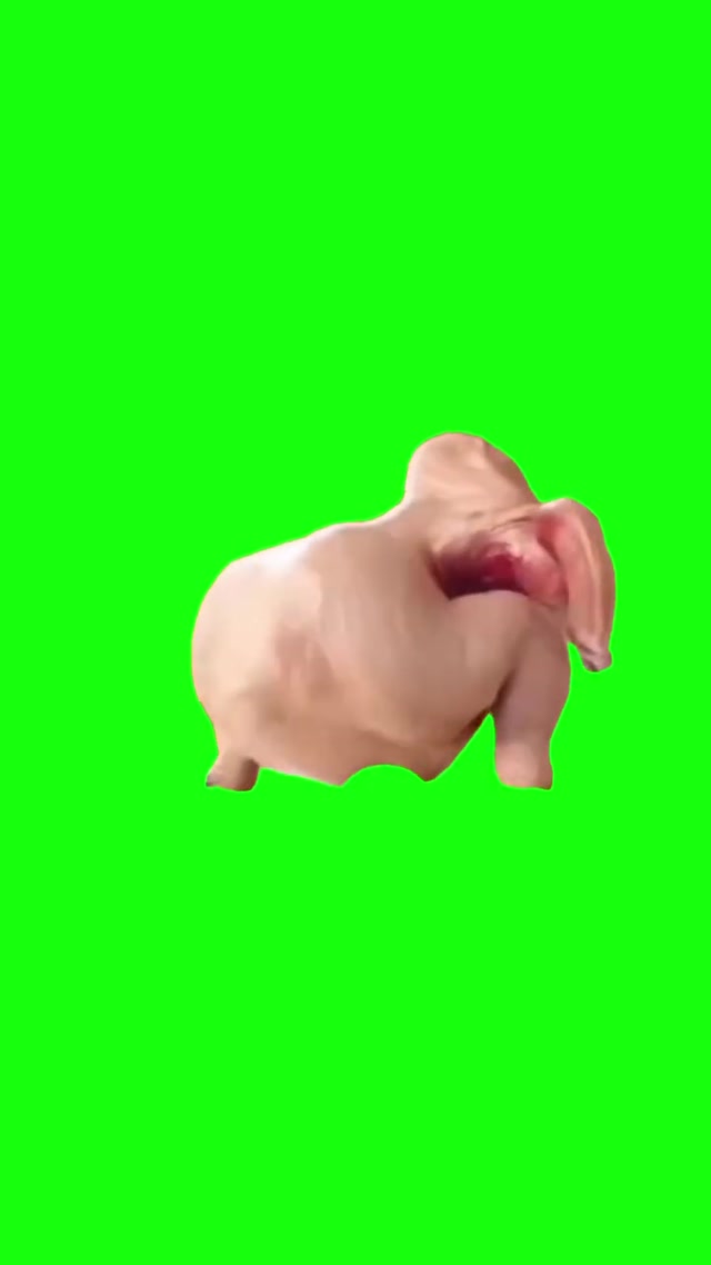 Turkey Dancing meme template blank