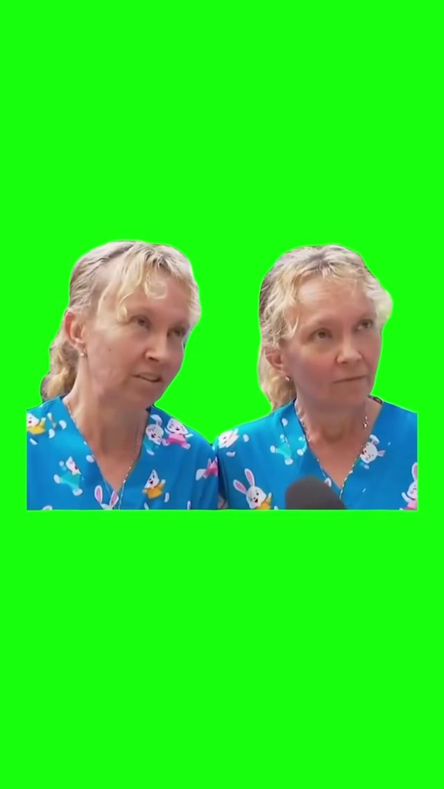 Twins Talking in Unison meme template blank