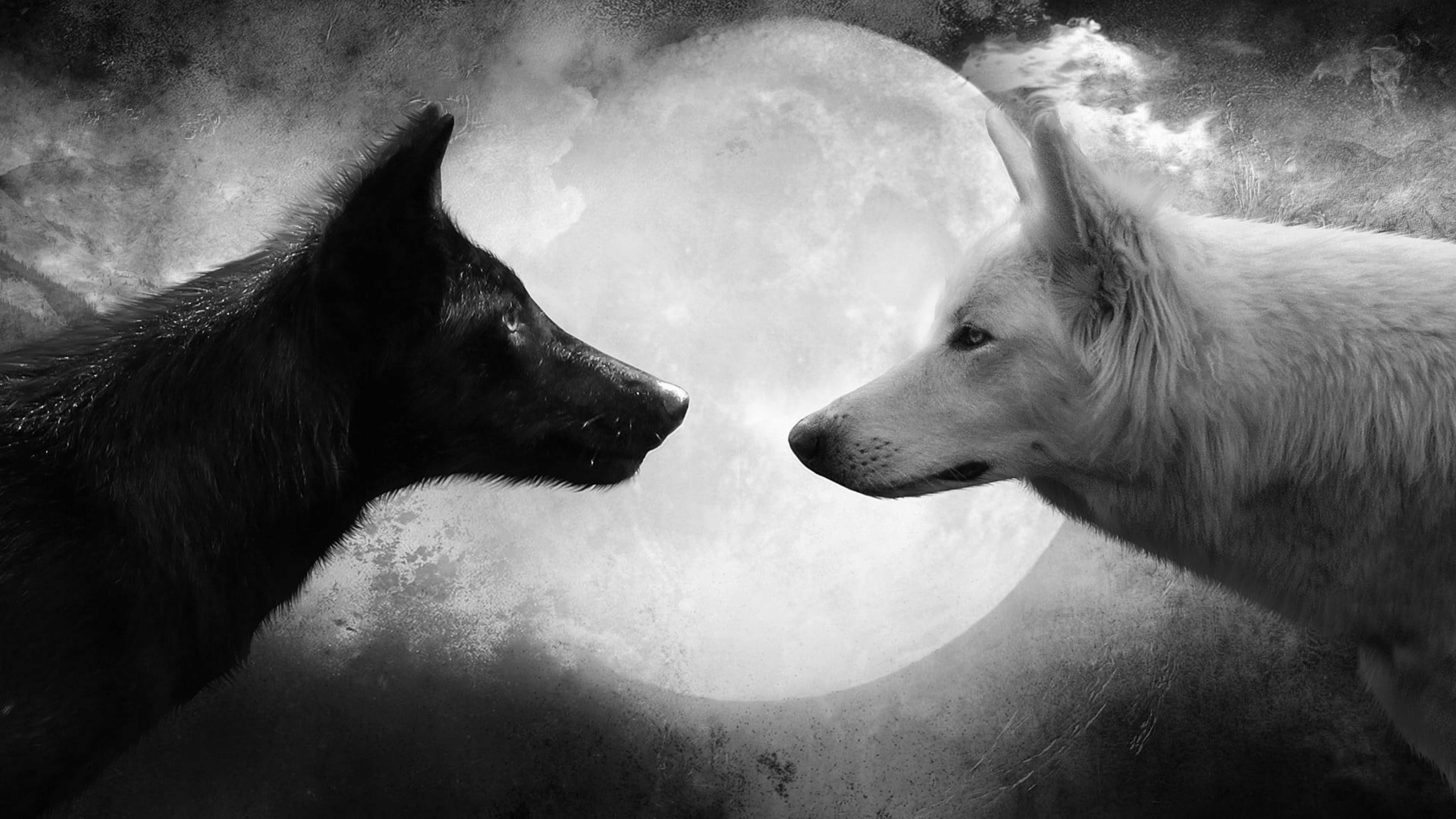 Two Wolves meme template blank - image format