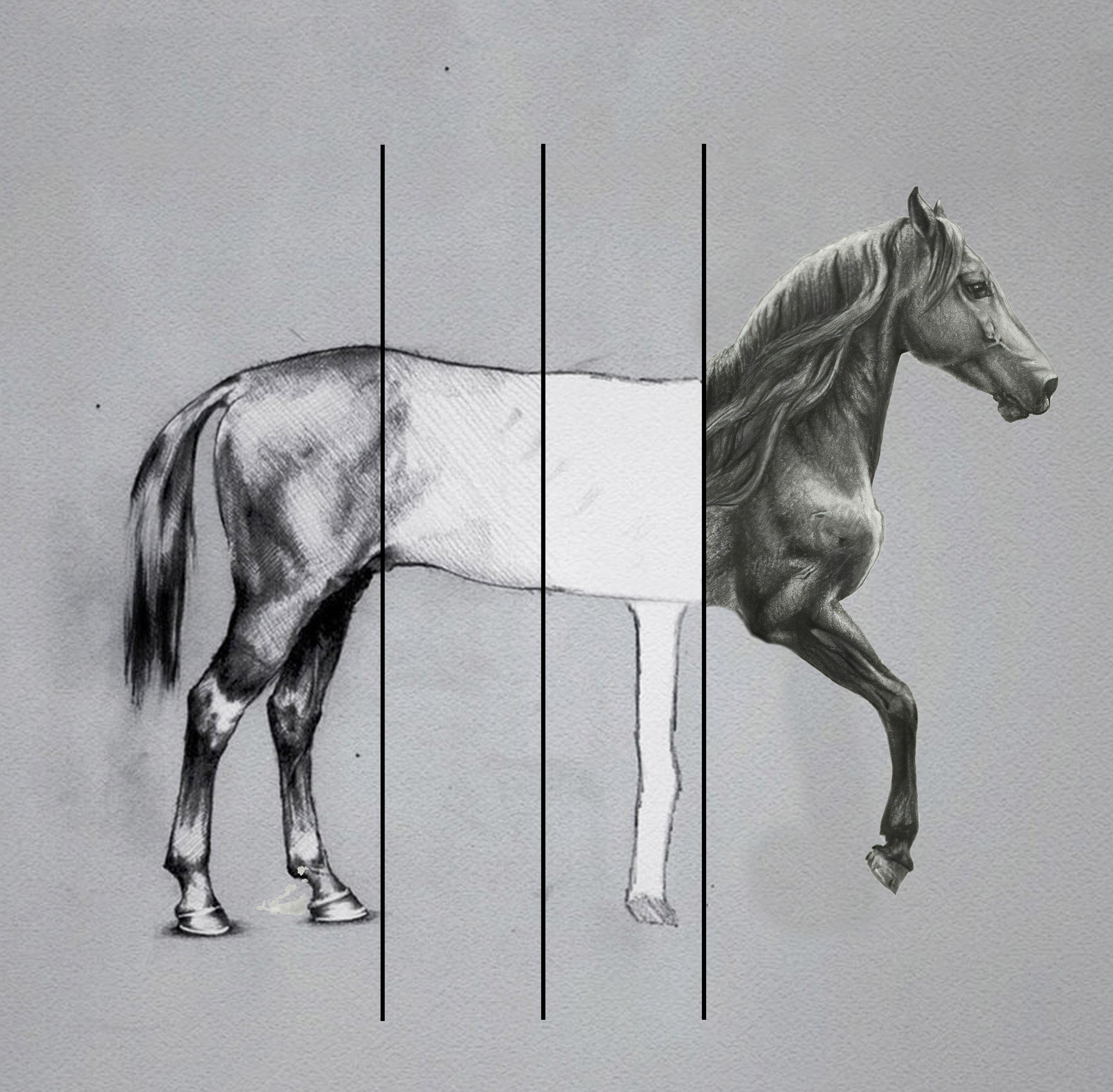 Unfinished Horse Drawing meme template blank - image format