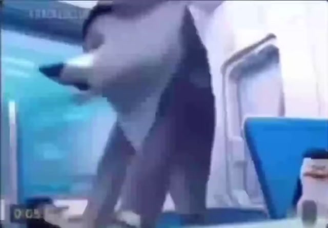 Vitaly Squeezing Through Hoop meme template blank