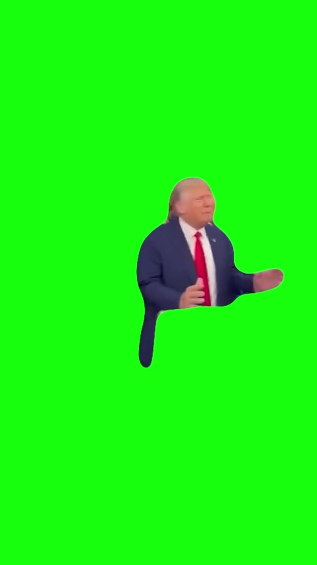 “What the Hell Is a Blizzard?” Donald Trump meme template blank