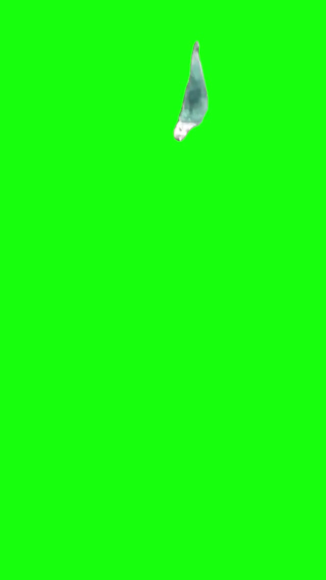 Whimsical Little Elvish Creature from TikTok Green Screen meme template blank