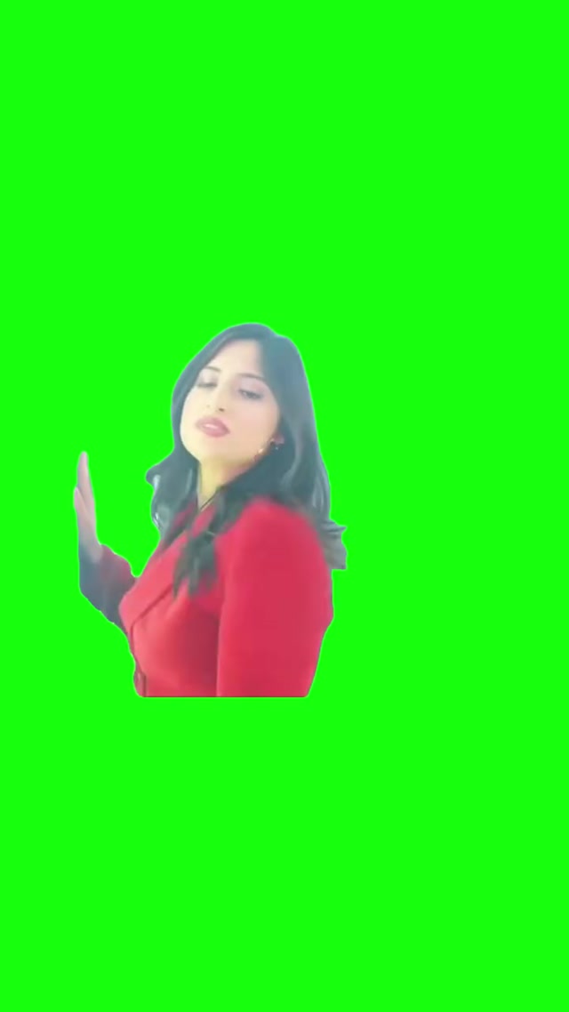 Why Did You Ghost Me? meme template blank