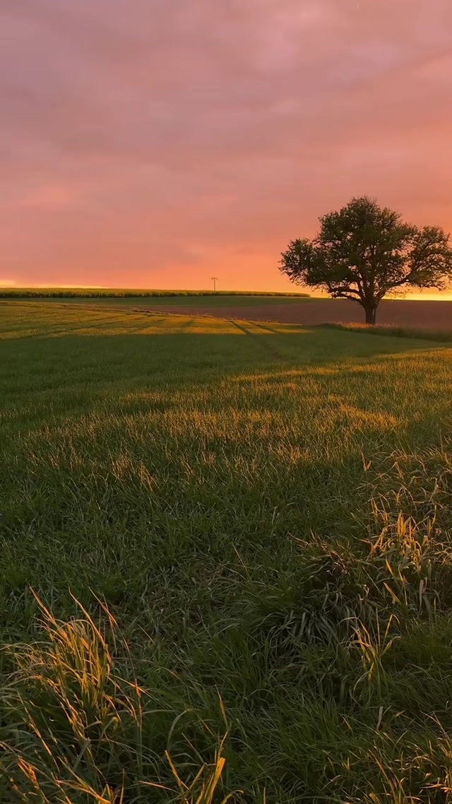 Windows XP Bliss 4K meme template blank