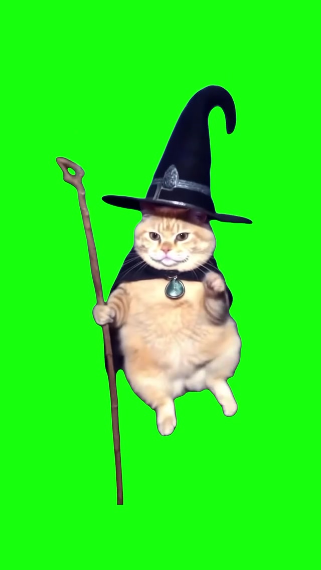 Wizard Cat Floating meme template blank