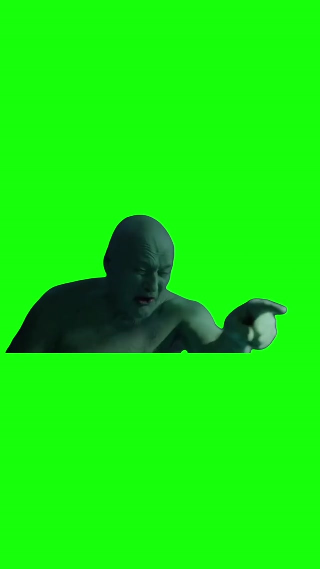 “You’re a Disgrace” Mr. Frog’s Father meme template blank